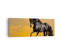 Quadro su Tela 140x50cm Animali cavallo correndo prato Stampe Immagini Murale