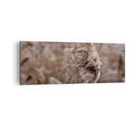 Quadro su Tela 140x50cm Boho Spighe Di Grano Erba Stampe Immagini Quadri Murale