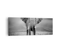Quadro su Tela 140x50cm Elefante natura selvaggia natura Stampe Immagini Murale