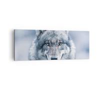 Quadro su Tela 140x50cm Lupo predatore natura selvaggia Stampe Immagini Murale