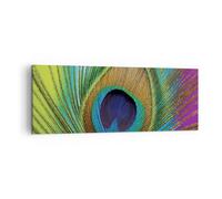 Quadro su Tela 140x50cm Pavoni piume arcobaleno Stampe Immagini Quadri Murale