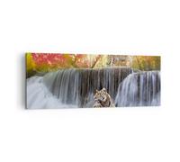 Quadro su Tela 140x50cm Tigre natura animale paradiso Stampe Immagini Murale