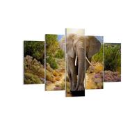 Quadro su Tela 150x100cm Animali Africa elefante camminare Stampe Murale