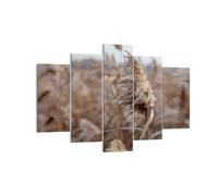 Quadro su Tela 150x100cm Boho Spighe Di Grano Erba Stampe Immagini Quadri Murale