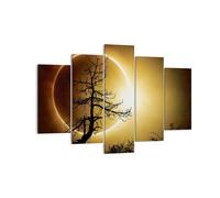 Quadro su Tela 150x100cm Eclipse il sole l'albero Stampe Immagini Quadri Murale