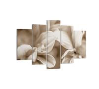 Quadro su Tela 150x100cm Fiori Boho Senza Stampe Immagini Quadri Moderni Murale