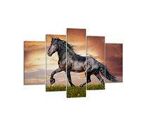 Quadro su Tela 150x100cm Stampe da Parete Cavallo animale prato Grandi Decorazione Murale Camera da Letto Cucina Set 5 pezzi Quadri Moderni Soggiorno Grafica Immagini Wall Art Canvas EA150x100-2608