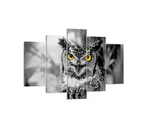 Quadro su Tela 150x100cm Stampe da Parete Gufo uccello natura Grandi XXL Decorazione Murale Camera da Letto Cucina Set 5 pezzi Quadri Moderni Soggiorno Grafica Immagini Wall Art Canvas EA150x100-1318
