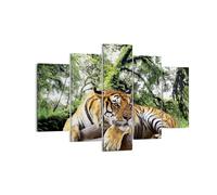 Quadro su Tela 150x100cm Tigre giungla riposo Stampe Immagini Quadri Murale
