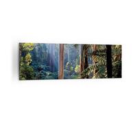 Quadro su Tela 160x50cm Alba alberi foresta Stampe Immagini Quadri Murale