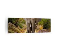 Quadro su Tela 160x50cm Animali Africa elefante camminare Stampe Immagini Murale