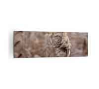 Quadro su Tela 160x50cm Boho Spighe Di Grano Erba Stampe Immagini Quadri Murale