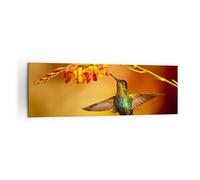 Quadro su Tela 160x50cm colibrì uccello estate Stampe Immagini Quadri Murale