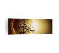 Quadro su Tela 160x50cm Eclipse il sole l'albero Stampe Immagini Quadri Murale