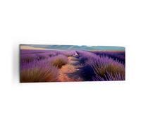 Quadro su Tela 160x50cm Lavanda Orizzonte Paesaggio Stampe Immagini Murale