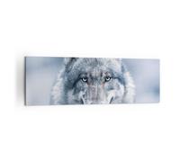 Quadro su Tela 160x50cm Lupo predatore natura selvaggia Stampe Immagini Murale