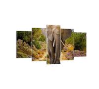 Quadro su Tela 160x85cm Animali Africa elefante camminare Stampe Immagini Murale