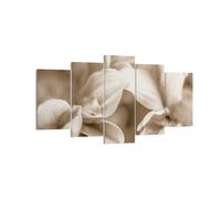 Quadro su Tela 160x85cm Fiori Boho Senza Stampe Immagini Quadri Moderni Murale