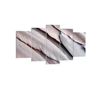 Quadro su Tela 160x85cm Piume ali piume Stampe Immagini Quadri Moderni Murale