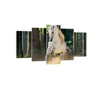 Quadro su Tela 160x85cm Polvere emozioni cavallo natura Stampe Immagini Murale