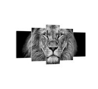 Quadri Moderni Soggiorno Ritratto Leone Bianco E Nero Quadro su Tela 160x85cm Stampe da Parete Camera da Letto Cucina 5 pezzi Wall Art Canvas Grandi Decorazione Murale Grafica Immagini EA160x85-4494