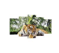 Quadro su Tela 160x85cm Tigre giungla riposo Stampe Immagini Quadri Murale