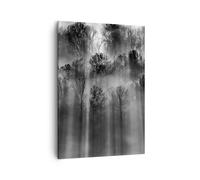 Quadro su Tela 50x70cm Alberi Dentro Nebbia Stampe Immagini Quadri Murale