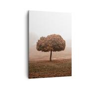 Quadro su Tela 50x70cm Albero Autunno Natura Stampe Immagini Quadri Murale