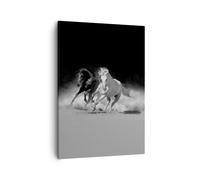 Quadro su Tela 50x70cm Andaluso Cavalli Galoppo Stampe Immagini Quadri Murale