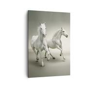 Quadro su Tela 50x70cm Animali arabo cavallo fattoria Stampe Immagini Murale