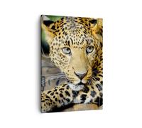 Quadro su Tela 50x70cm Animali pericoloso gatto selvatico Stampe Immagini Murale