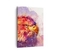 Quadro su Tela 50x70cm aquila uccello piuma Stampe Immagini Quadri Murale