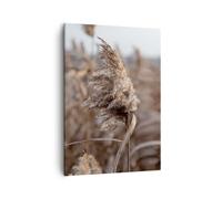 Quadro su Tela 50x70cm Boho Spighe Di Grano Erba Stampe Immagini Quadri Murale