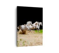 Quadro su Tela 50x70cm Cavalli Sabbia Erba Stampe Immagini Quadri Moderni Murale