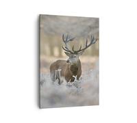 Quadro su Tela Verticale cervo foresta natura Stampe da Parete 50x70cm Quadri Moderni Soggiorno Camera da Letto Cucina 1 pezzo Piccoli Decorazione Murale Wall Art Canvas Grafica Immagini PA50x70-3744