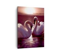 Quadro su Tela 50x70cm Cigni Campagna Acqua Stampe Immagini Quadri Murale