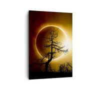 Quadro su Tela 50x70cm Eclipse il sole l'albero Stampe Immagini Quadri Murale