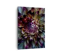 Quadro su Tela 50x70cm Foglie Agave Fiore Stampe Immagini Quadri Moderni Murale