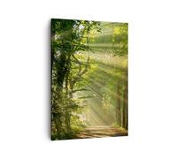 Quadro su Tela 50x70cm foresta albero natura Stampe Immagini Quadri Murale