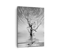 Quadro su Tela 50x70cm In bianco e nero albero lago Stampe Immagini Murale
