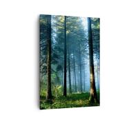 Quadro su Tela 50x70cm La foresta l'alba il sole Stampe Immagini Quadri Murale