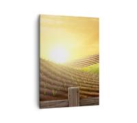 Quadro su Tela 50x70cm Mattina fattoria campo piantagione Stampe Immagini Murale