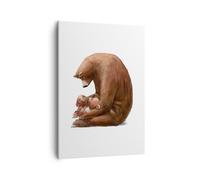 Quadro su Tela 50x70cm Orso orsacchiotti bambini Stampe Immagini Quadri Murale