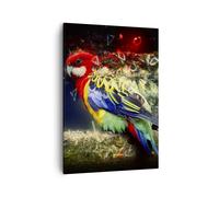 Quadro su Tela 50x70cm pappagallo uccello piuma Stampe Immagini Quadri Murale