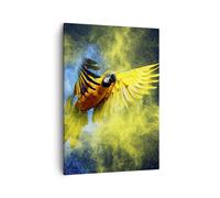 Quadro su Tela 50x70cm pappagallo uccello piuma Stampe Immagini Quadri Murale