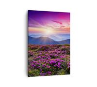 Quadri Moderni Soggiorno Prato Montagna Cielo Paesaggio Quadro su Tela Verticale 50x70cm Stampe da Parete Camera da Letto 1 pezzo Wall Art Canvas Piccoli Decorazione Murale Immagini PA50x70-2719