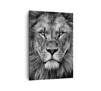 Quadro su Tela 50x70cm Ritratto Leone Bianco E Nero Stampe Immagini Murale