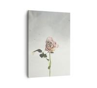 Quadro su Tela 50x70cm Rosa uccelli cielo Stampe Immagini Quadri Moderni Murale