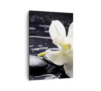 Quadro su Tela 50x70cm Spa orchidee pietre acqua Stampe Immagini Quadri Murale