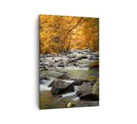 Quadro su Tela 50x70cm Stream Autunno Forrest montagna Stampe Immagini Murale